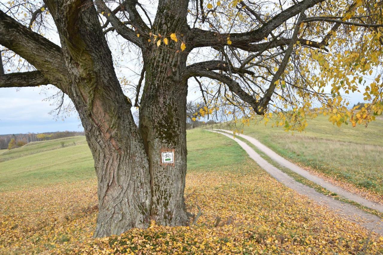 Appartamento Wigierski Park Narodowy Suwałki Esterno foto